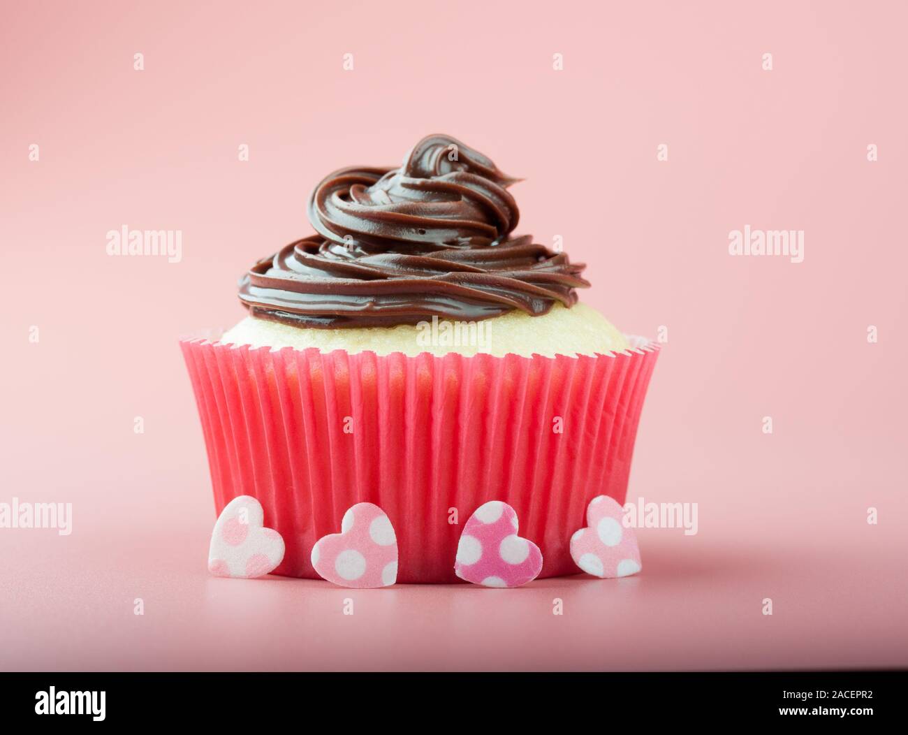 Vanilla cupcake with chocolate icing in nice paper mold, earths and pink background Stock Photo