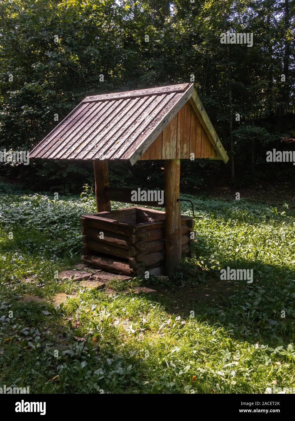 Old wooden well on green grass copy space Stock Photo