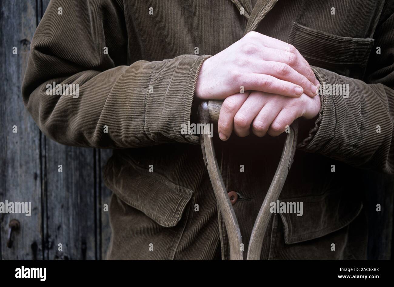 Gardener's hands resting on the handle of a fork or spade. Stock Photo
