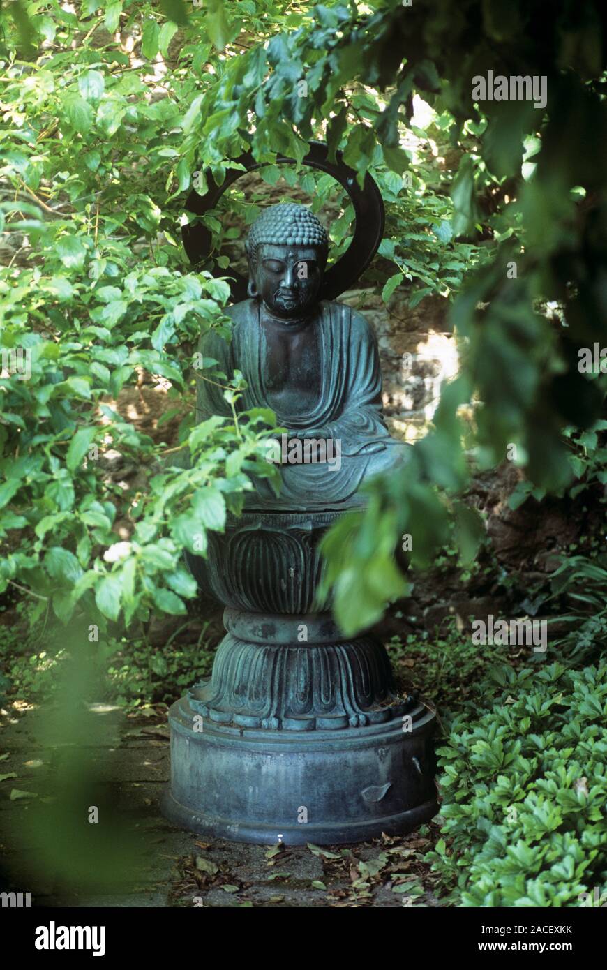 Buddha statue in a garden Stock Photo - Alamy