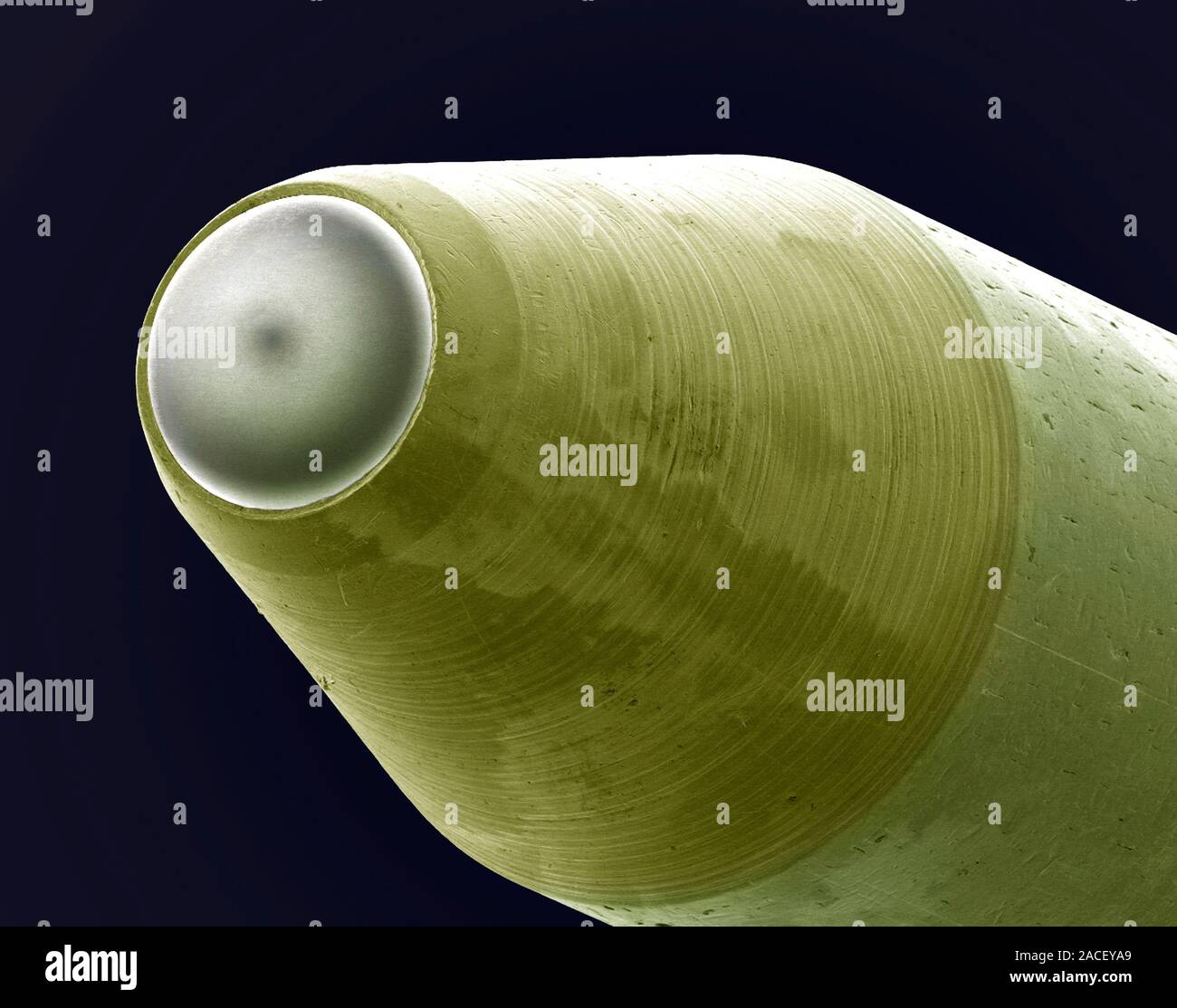 Nib of a ballpoint pen, coloured scanning electron micrograph (SEM