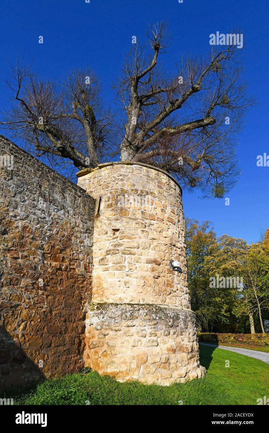 Outer wall with corner tower of medieval fortress called 'Burg Steinsberg' in German city Sinsheim Stock Photo