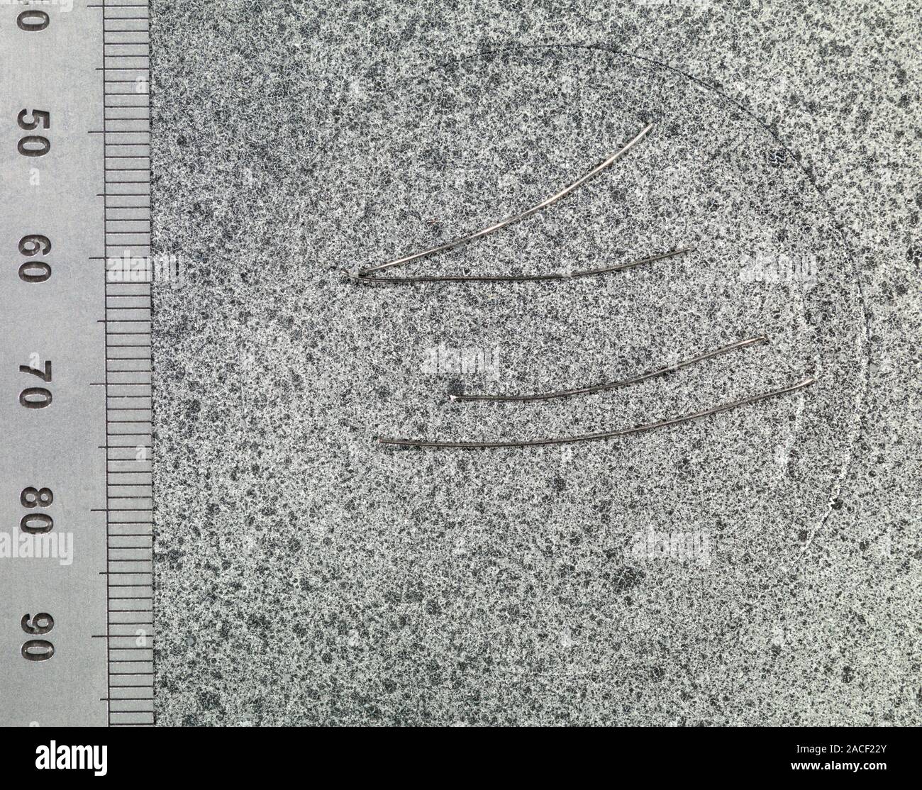 Materials testing sample, differential interference contrast (DIC ...