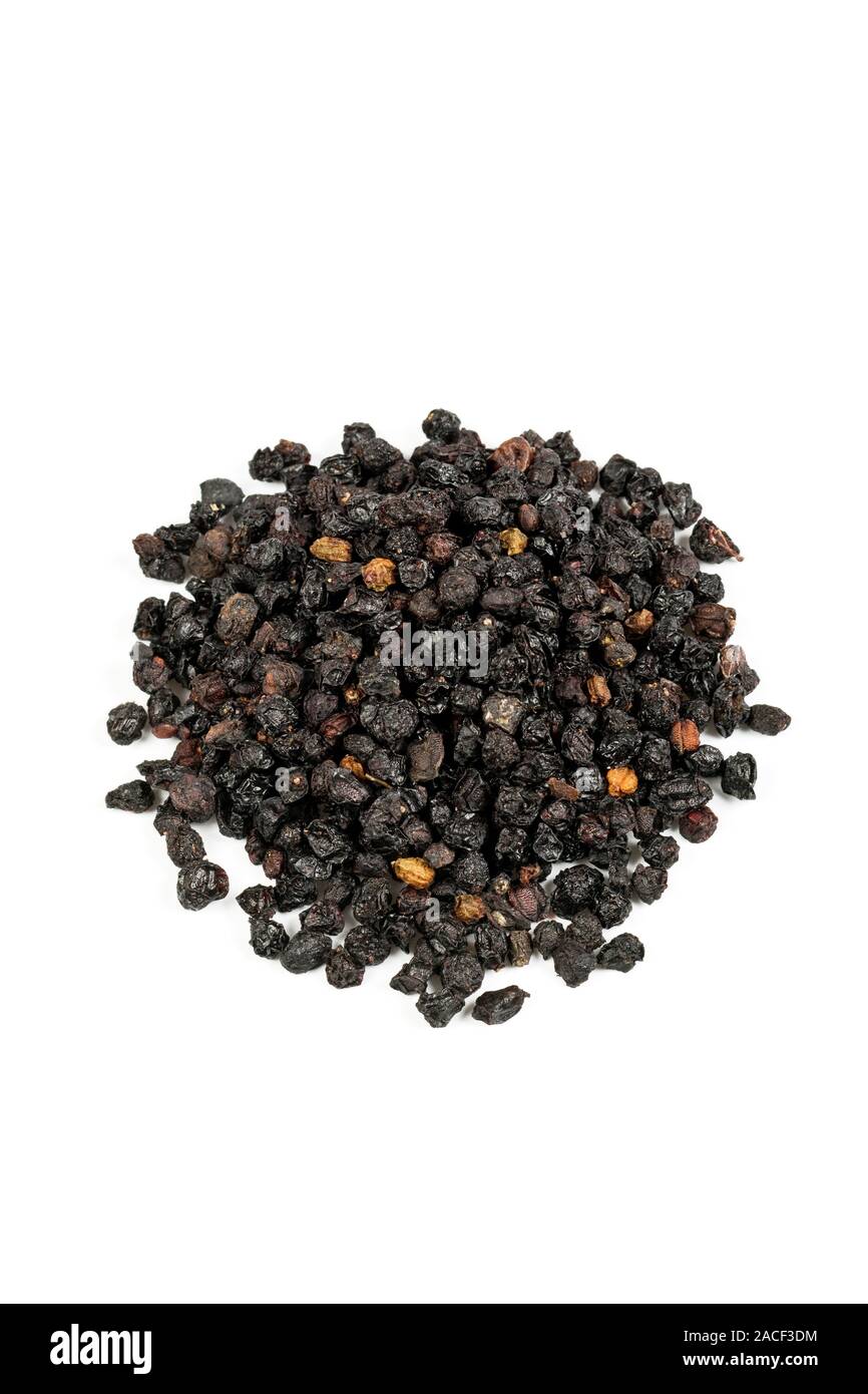 Elder berries herb (Sambucus nigra). This is used in herbal medicine to