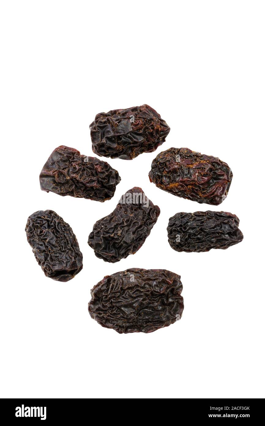 Chinese dates da zao (Ziziphus jujuba) syn. Ziziphus vulgaris. The