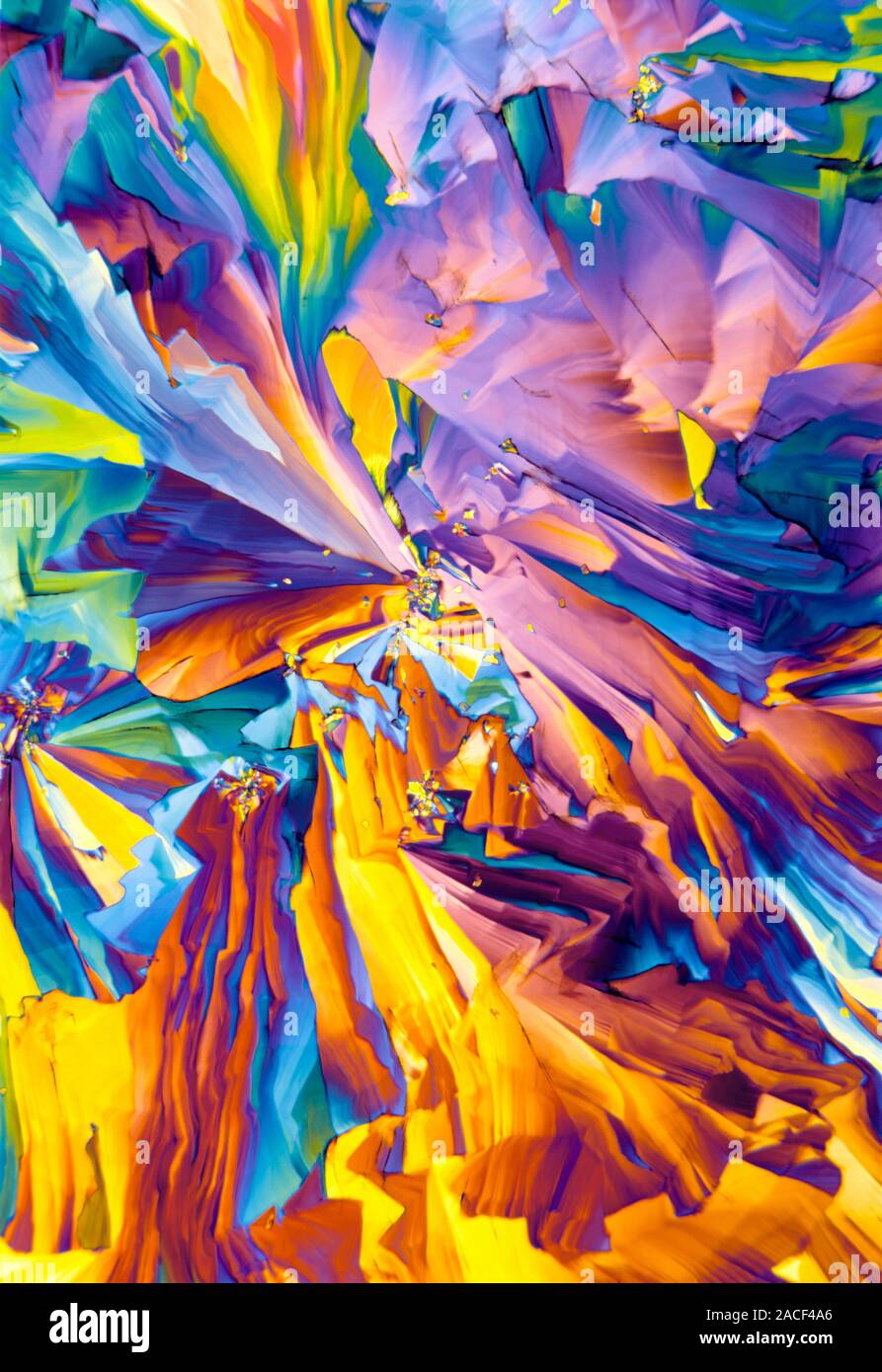 Glutamic acid crystals, polarised light micrograph. Glutamic acid is an