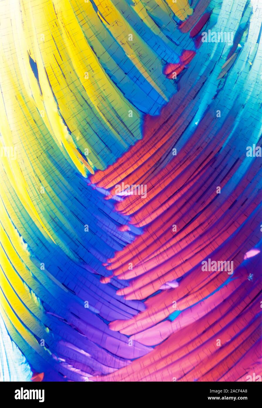 Cortisol crystals, polarised light micrograph. Cortisol is a steroid ...