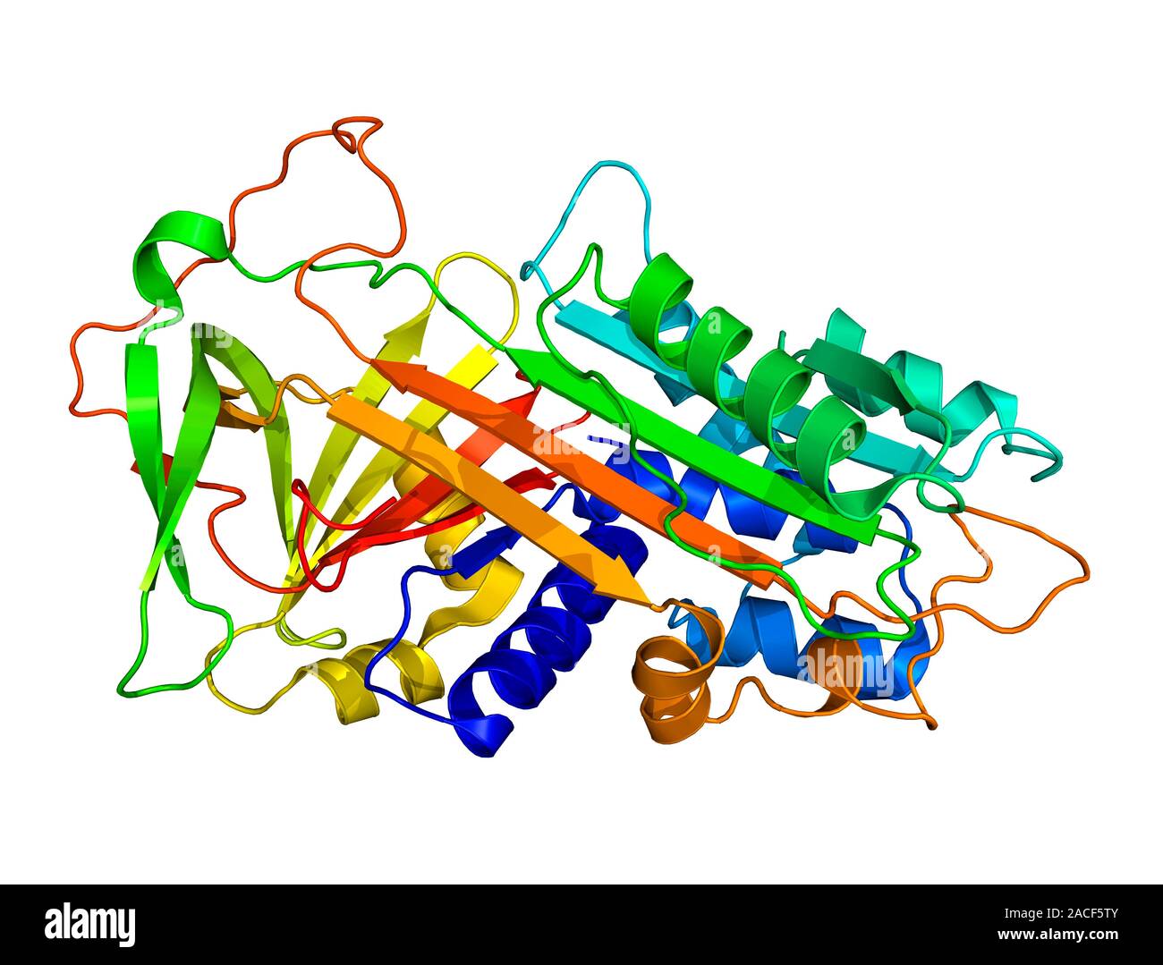 Proteinase inhibitor. Molecular model showing the secondary structure