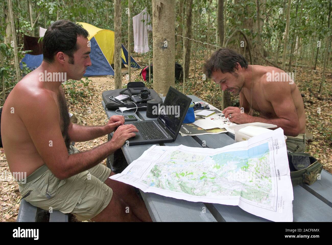 Collecting insects. Entomologists analysing insects captured from trees ...