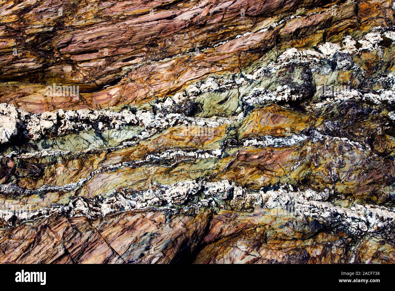 Coloured coastal rock. These colourful streaks result from the ...