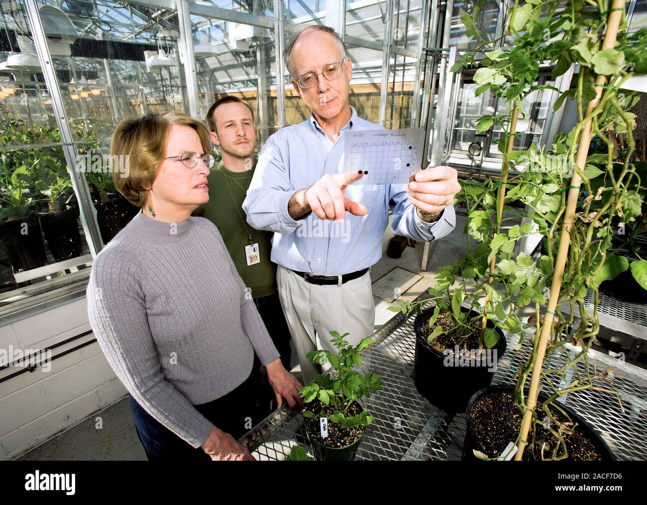 Plant health check. Chemist (centre), microbiologist (left), and