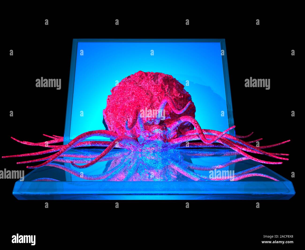 Cancer research, conceptual computer artwork. Cancer cell sitting on a ...