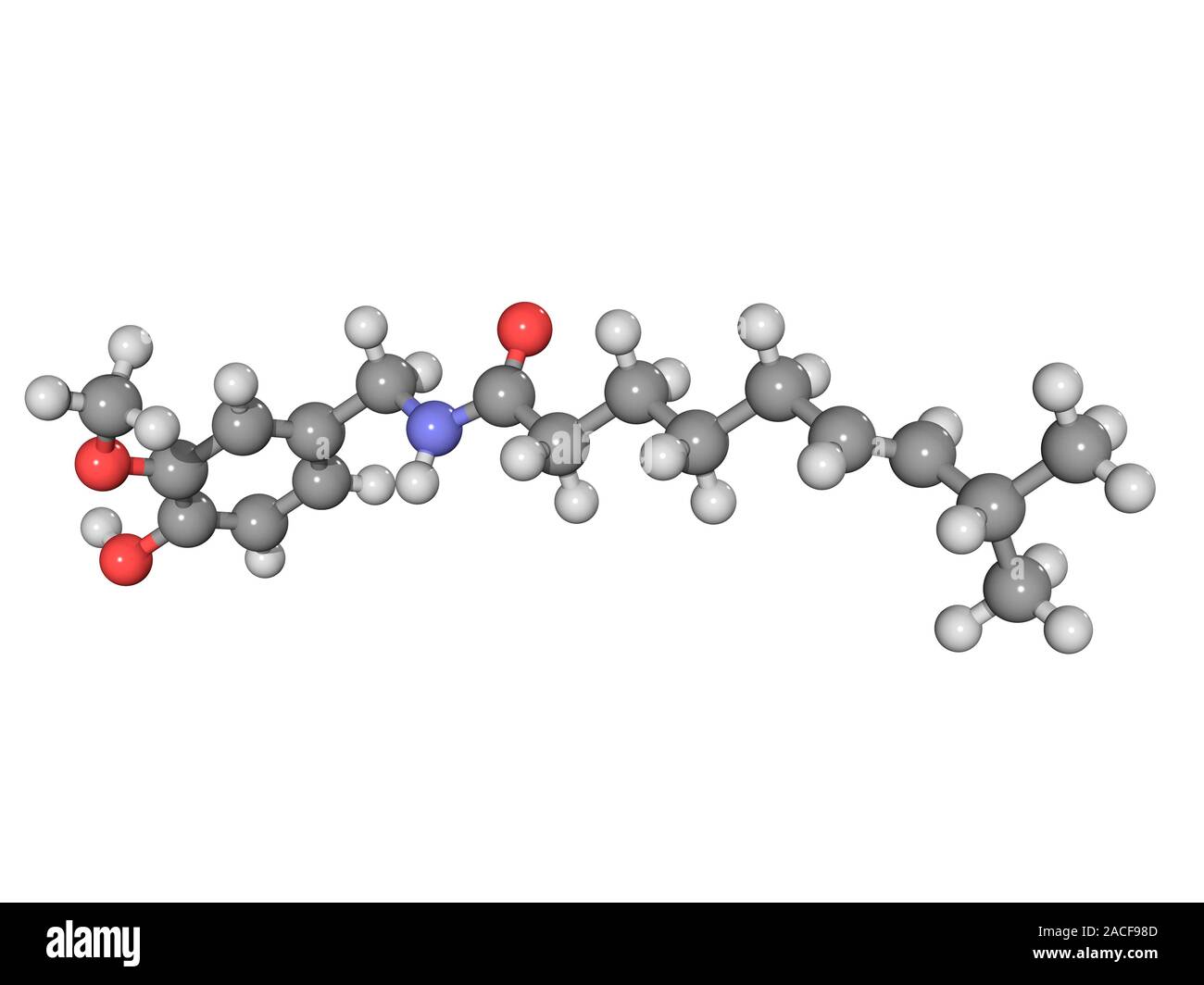 Capsaicin, molecular model. This chemical gives chilies their heat and ...
