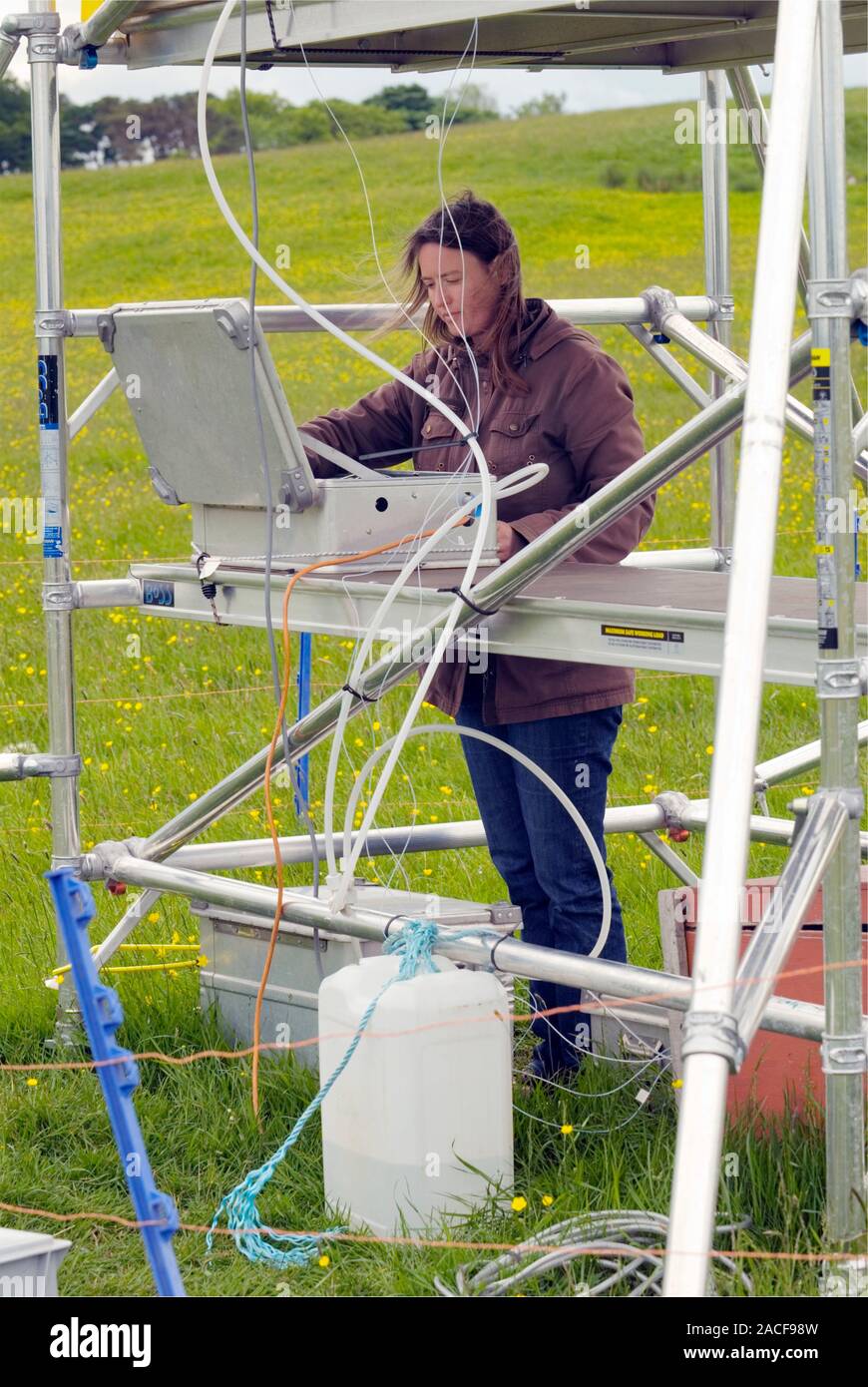Ammonia and plant growth experiment. Researcher monitoring ammonia
