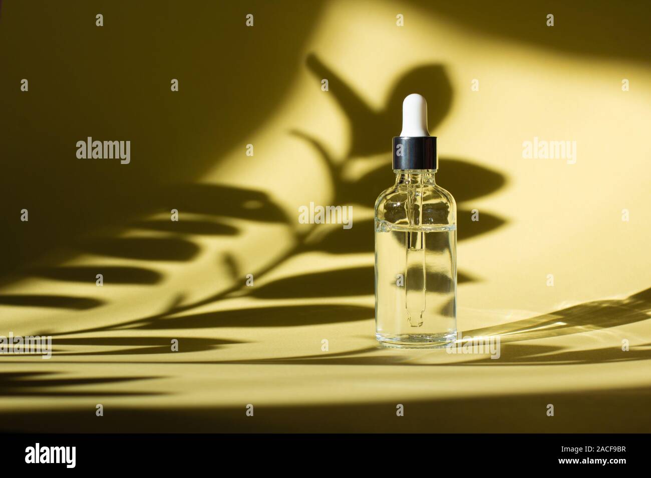 Download Cosmetic Bottle With Pipette Transparent Liquid Product In Glass Bottle With Dropper Serum Skin Care On Light Yellow Background And Plant Shadows Front View With Copy Space Beauty Product Mockup Stock Photo