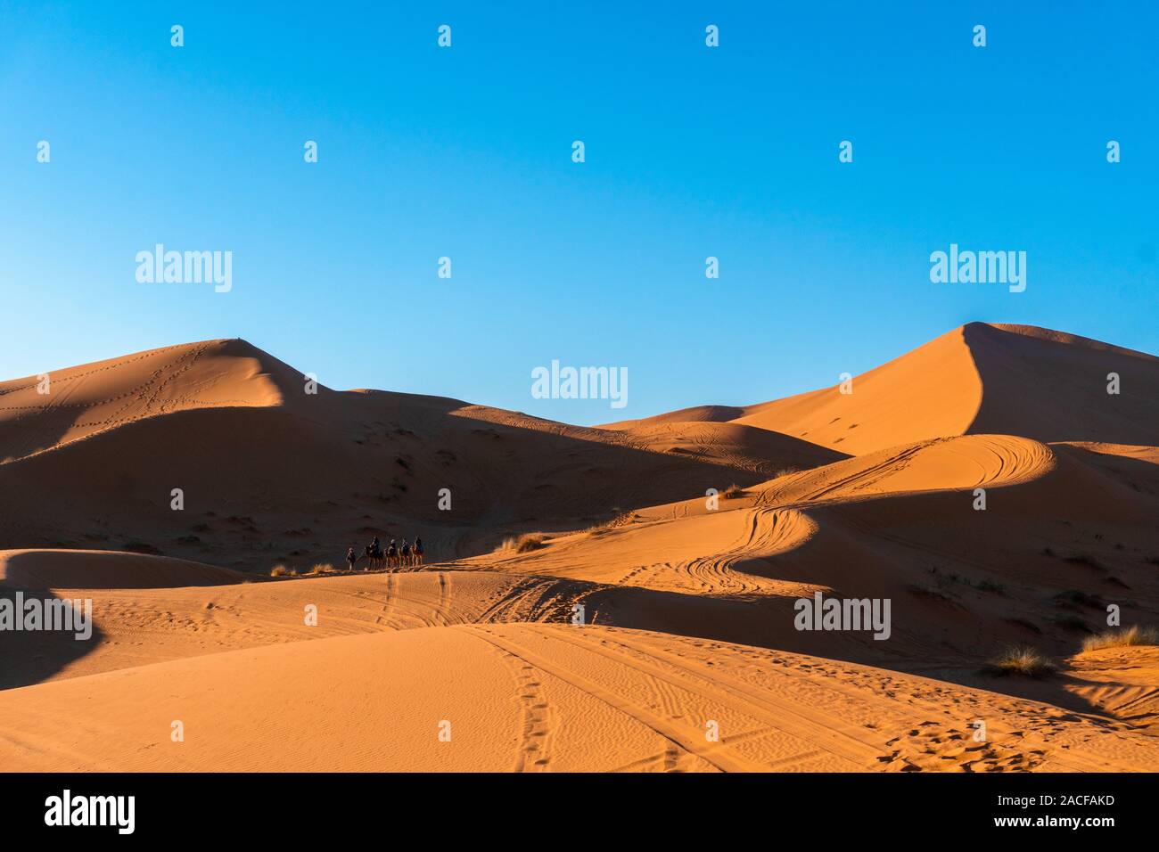 Sand dunes of Erg Chebbi in the Sahara Desert, Morocco Stock Photo - Alamy