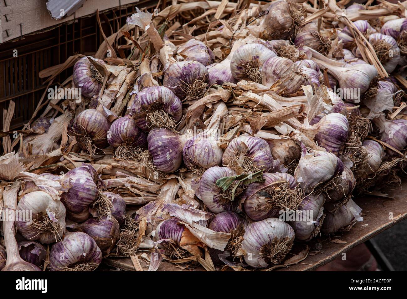 France, Loire region, Forez, Montbrison, street Market, market town, produce, merchants, street markets, market booths, garlic, Stock Photo