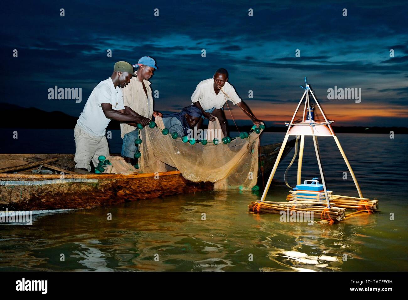 Night fishing, Lake Victoria, Kenya. Fishermen dragging nets at night using  a lamp that was charged by solar power. The lamp (middle left) is powered  Stock Photo - Alamy