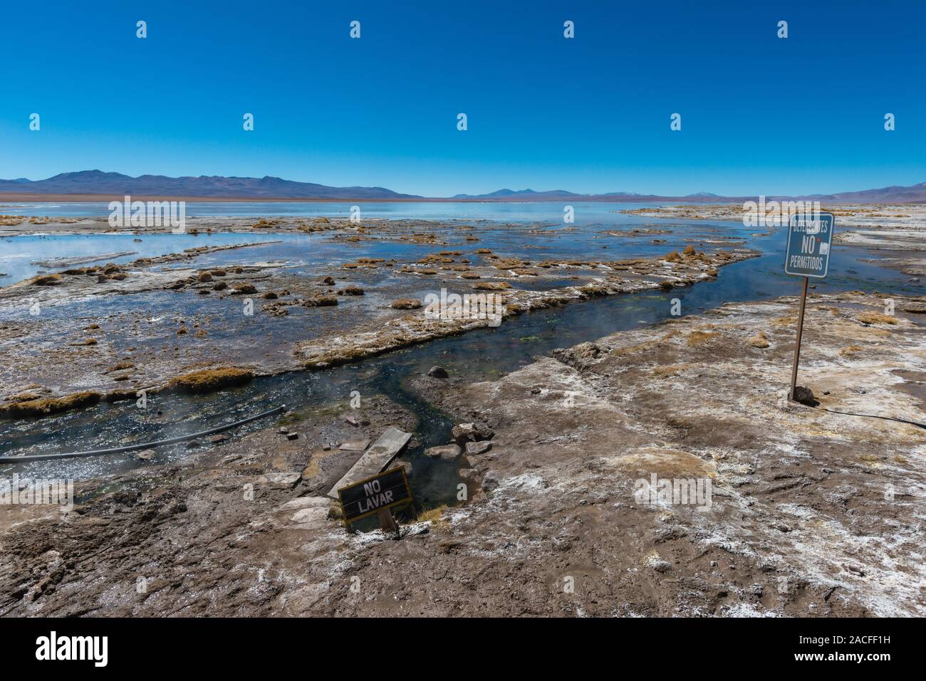 Reserva natural de fauna andina hi-res stock photography and images - Alamy