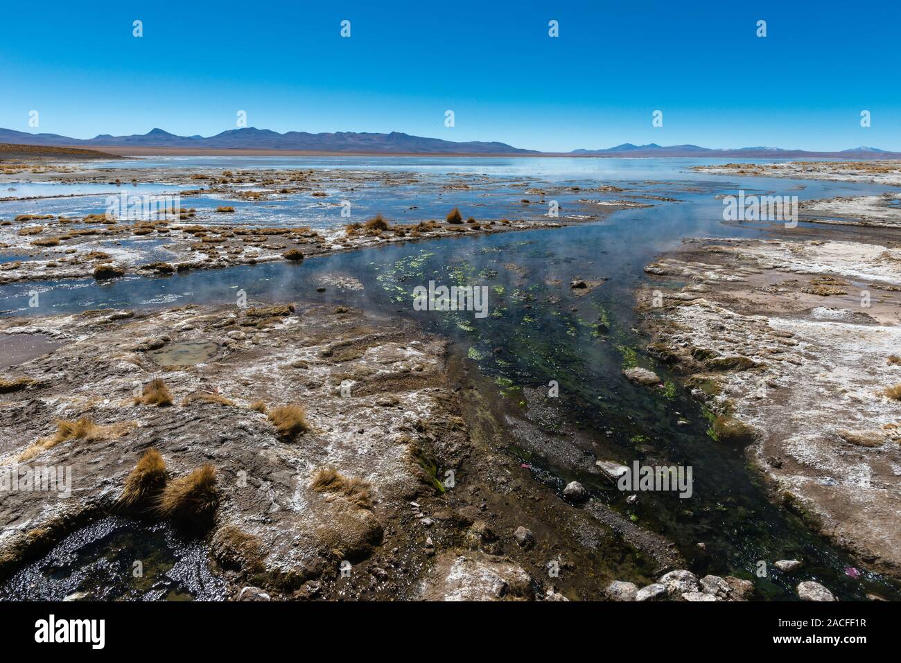 Reserva natural de fauna andina hi-res stock photography and images - Alamy