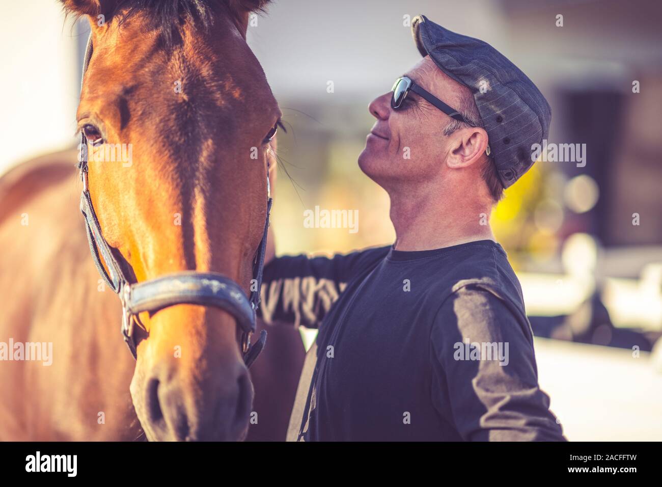 Caucasian Men in His 60s and His Horse. Animal Lover Theme. Stock Photo