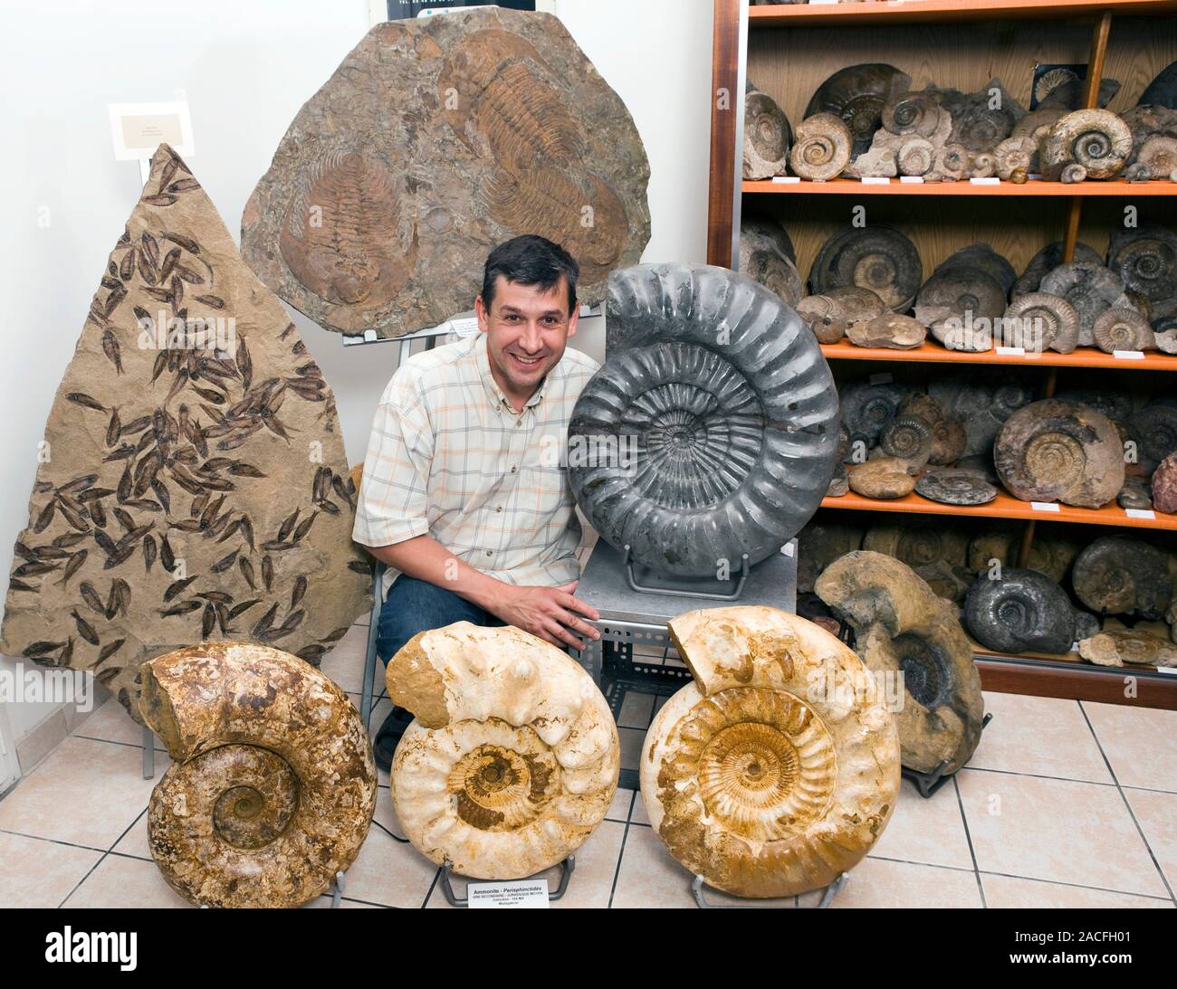 Fossil museum. Owner and fossils at a small fossil museum. The fossils