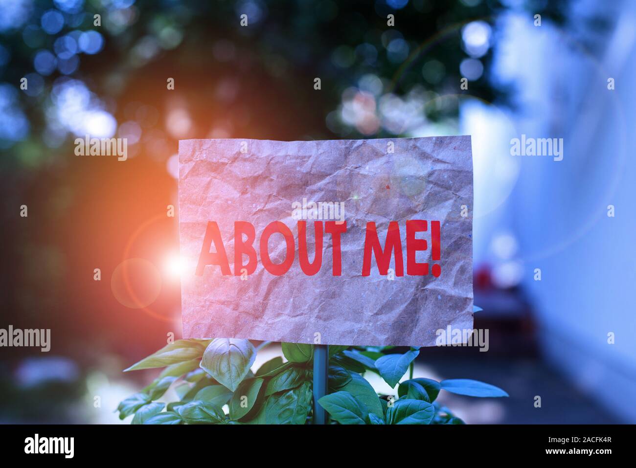 Word writing text About Me. Business photo showcasing telling someone ...