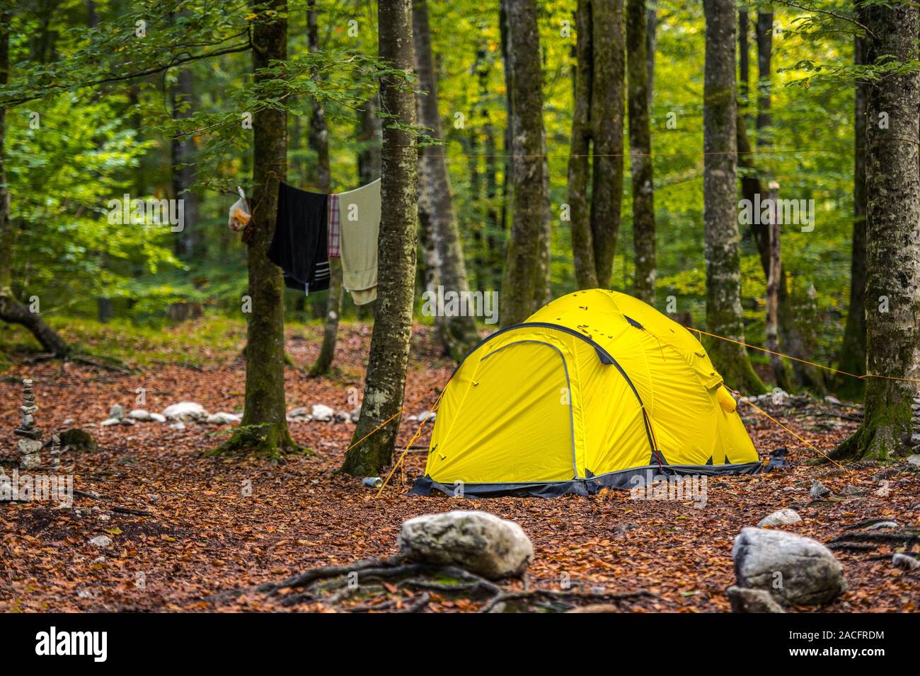 Forest Camping. Yellow Modern Tent and the Campsite Pitch. Summer Travel Theme. Stock Photo