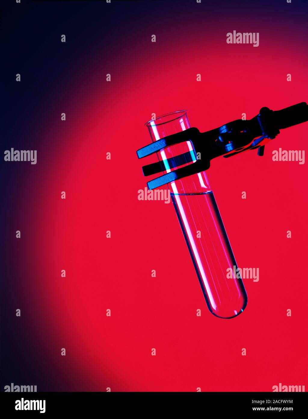 Test tube in a clamp. The test tube contains a clear liquid, seen