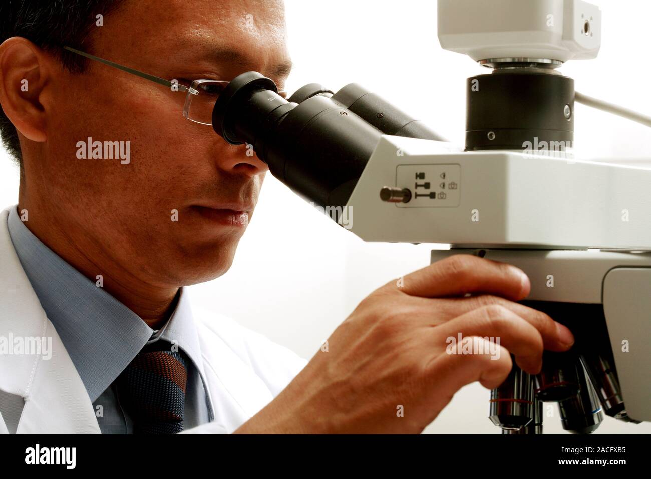 Examining tissue samples. Pathologist examining tissue samples under a microscope. Stock Photo