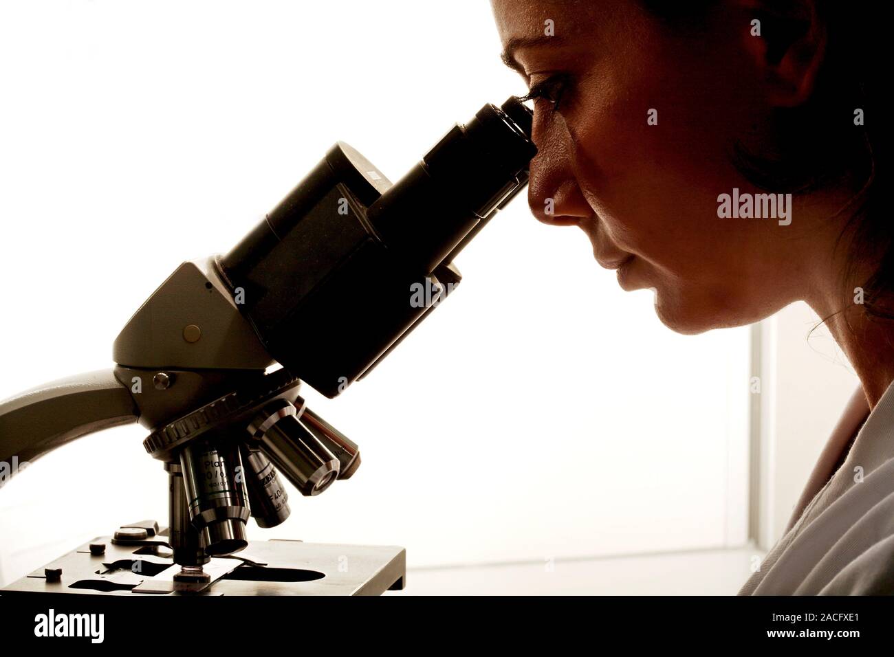 Examining tissue samples. Pathologist examining tissue samples under a microscope. Stock Photo