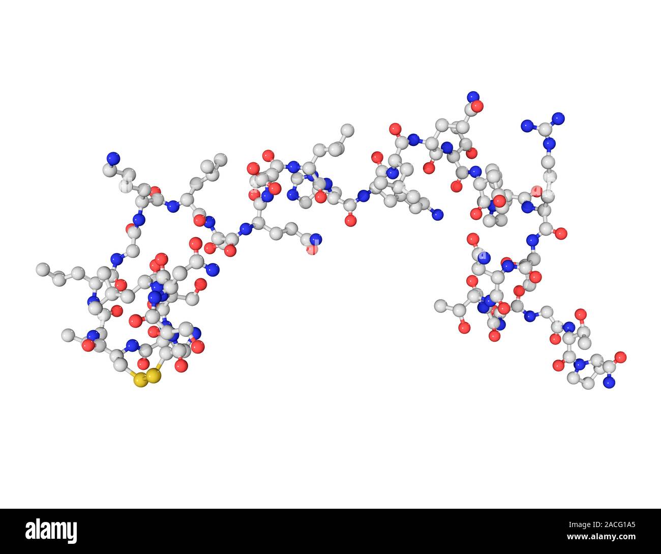 Salmon calcitonin hormone molecule. Computer model showing the