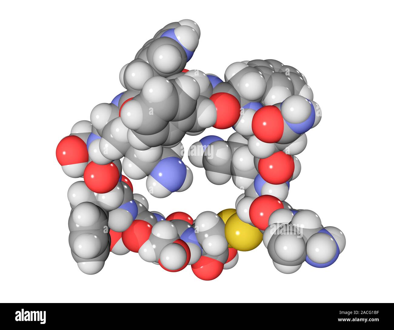 Somatostatin hormone molecule. Computer model showing the structure of the hormone somatostatin, also known as growth hormone-inhibiting hormone (GHIH Stock Photo