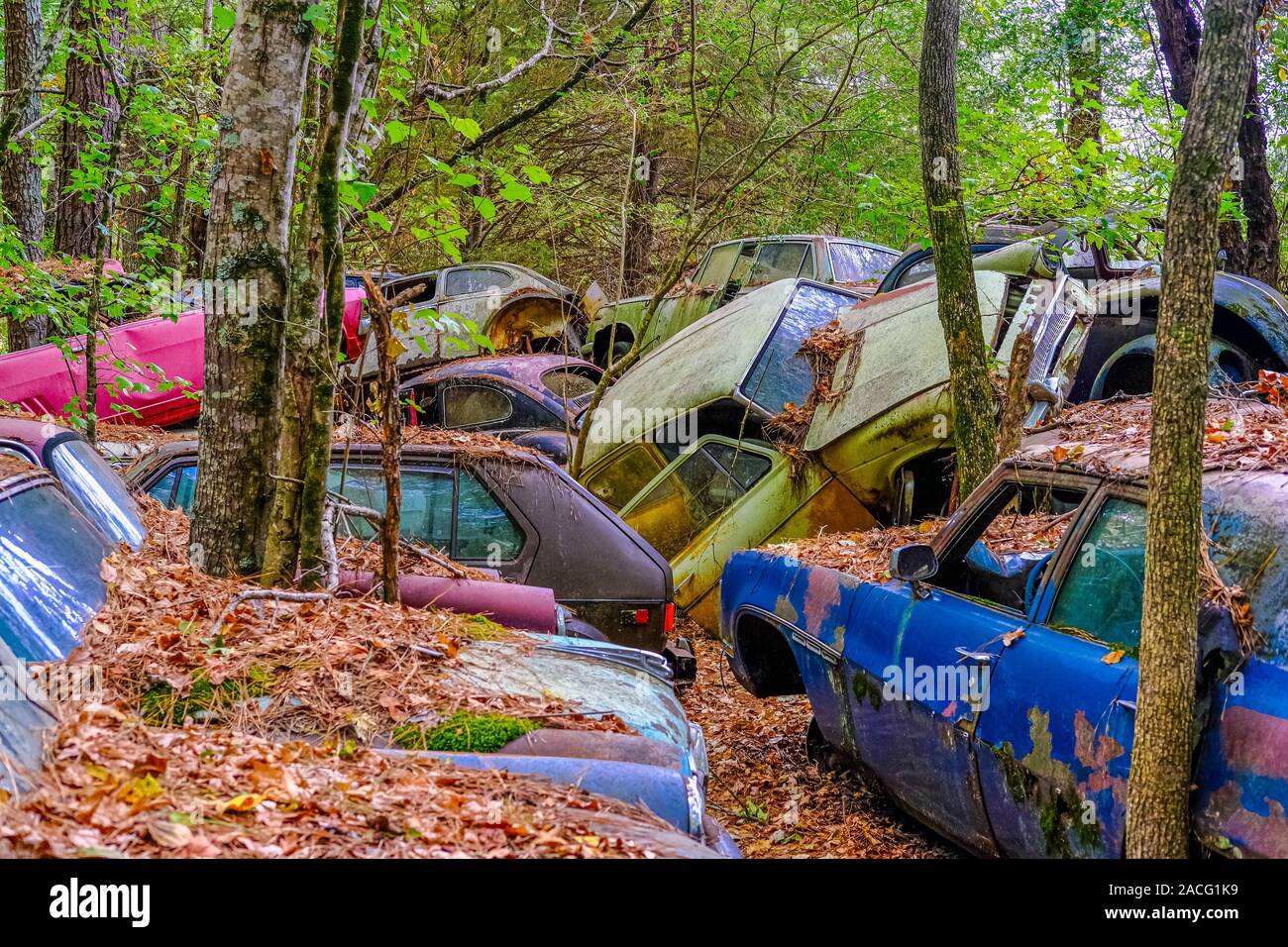 Scrap cars woods hi-res stock photography and images - Alamy