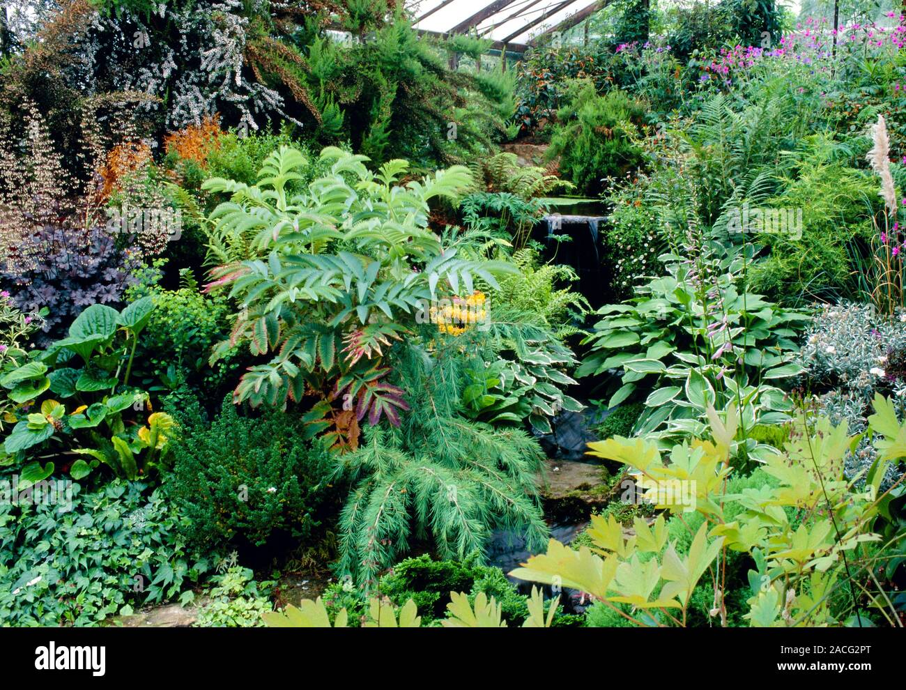 Mixed plants in a greenhouse. Assorted species of perennial plants and