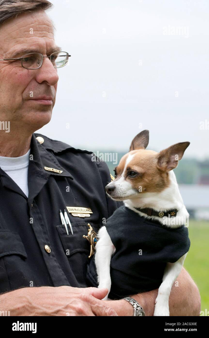 Smallest police dog in the world. Police dog 'Midge' with her handler