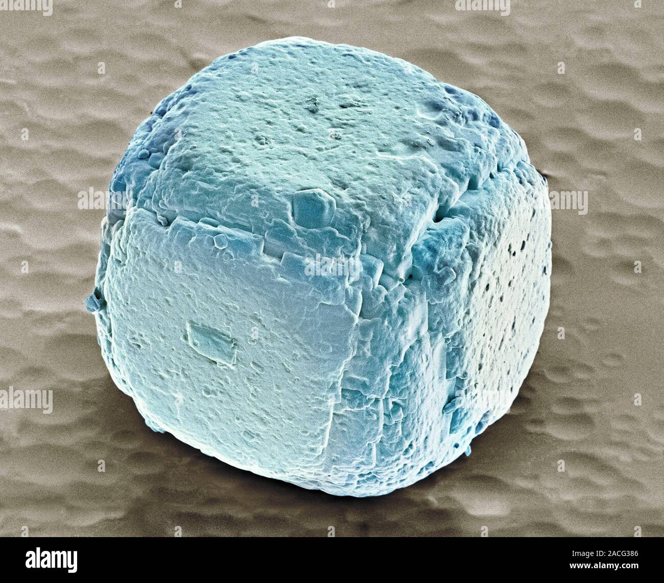 Salt grain, coloured scanning electron micrograph (SEM). A salt (sodium