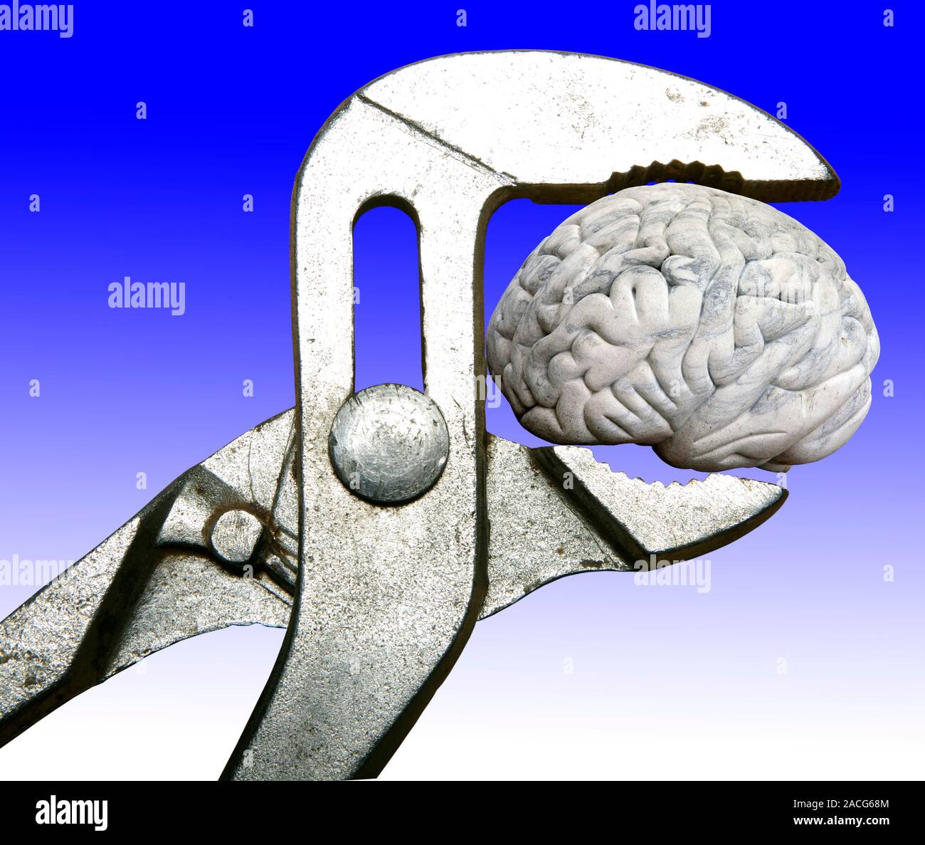 Brain engineering, conceptual image. Computer artwork of a pair of ...