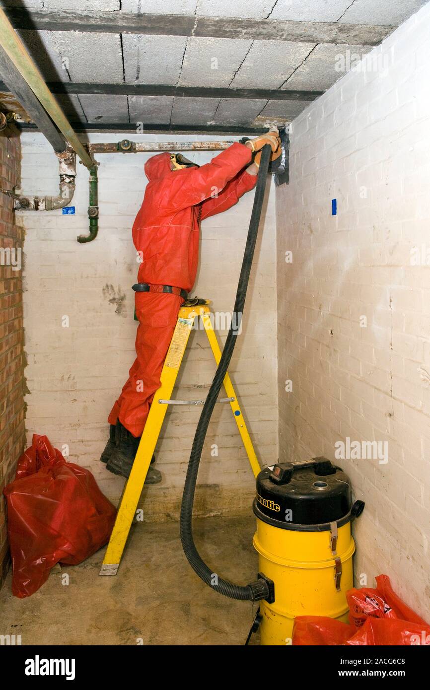 Asbestos removal. Worker in protective clothing removing asbestos from
