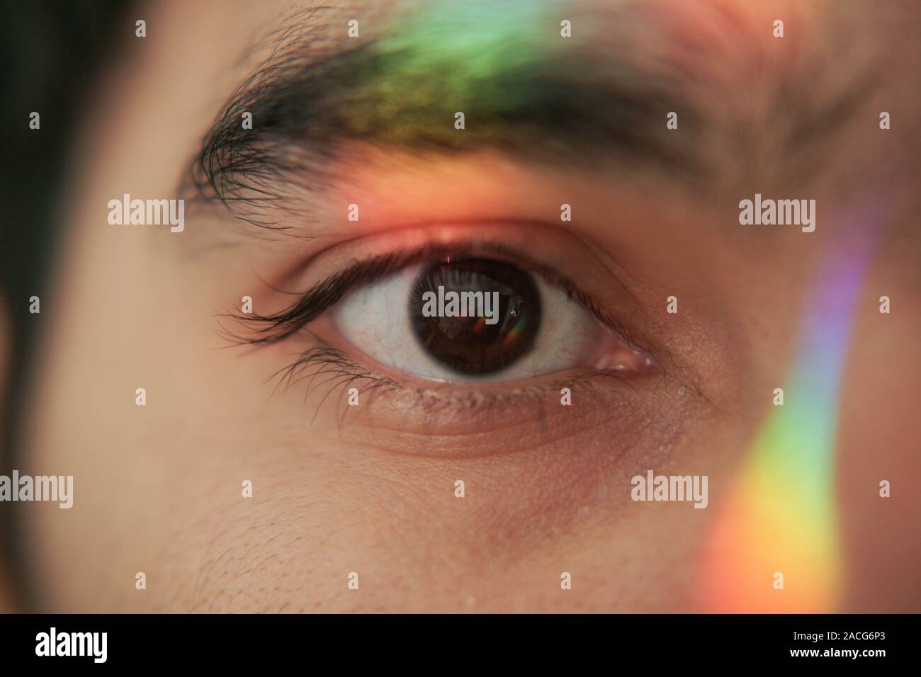 Human face close up hi-res stock photography and images - Alamy