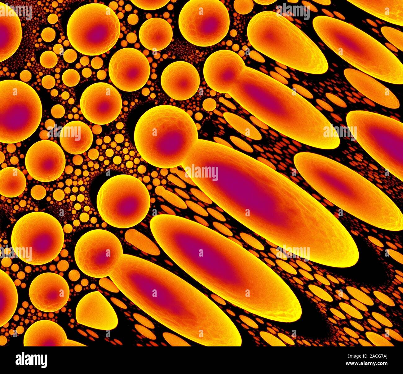 Scanning electron microscope test image. Coloured scanning electron