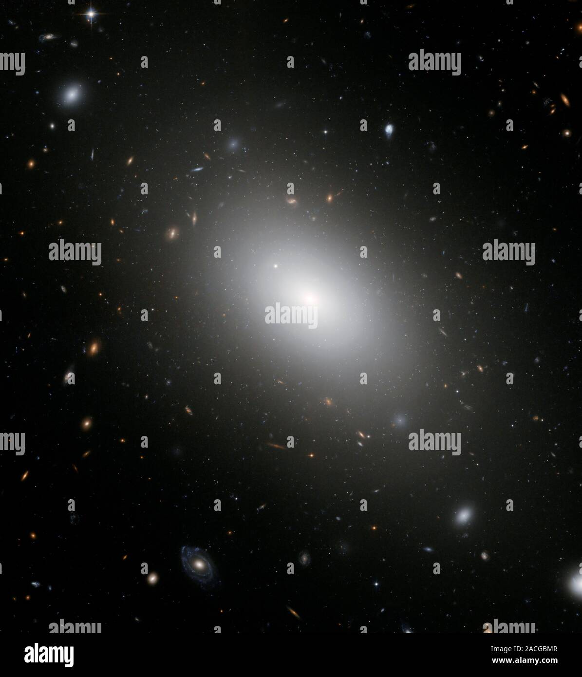 Elliptical galaxy NGC 1132 Hubble Space Telescope image. NGC 1132