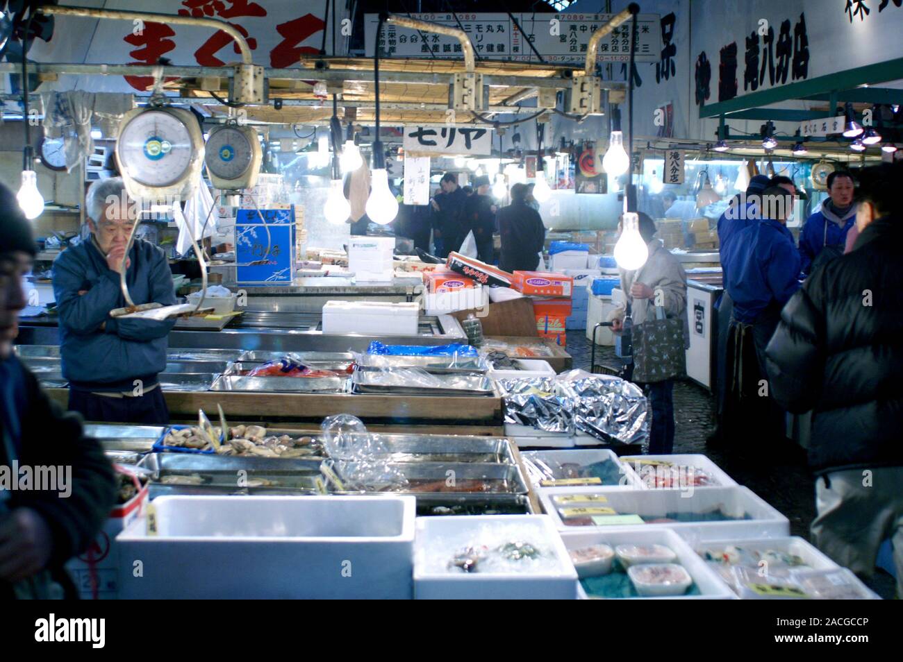 Tokyo fish market. Fish market in Tsukiji, Tokyo, Japan. This is the