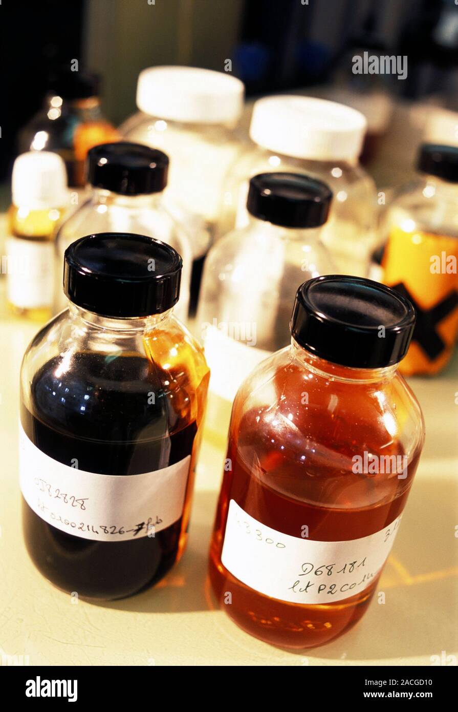 Oil samples. Bottles containing samples of oils being tested at a