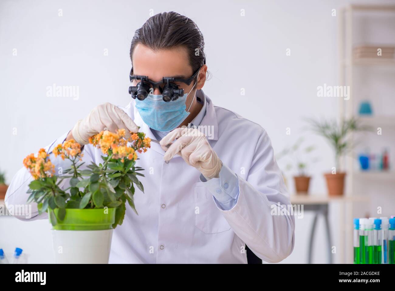 The young male chemist working in the lab Stock Photo