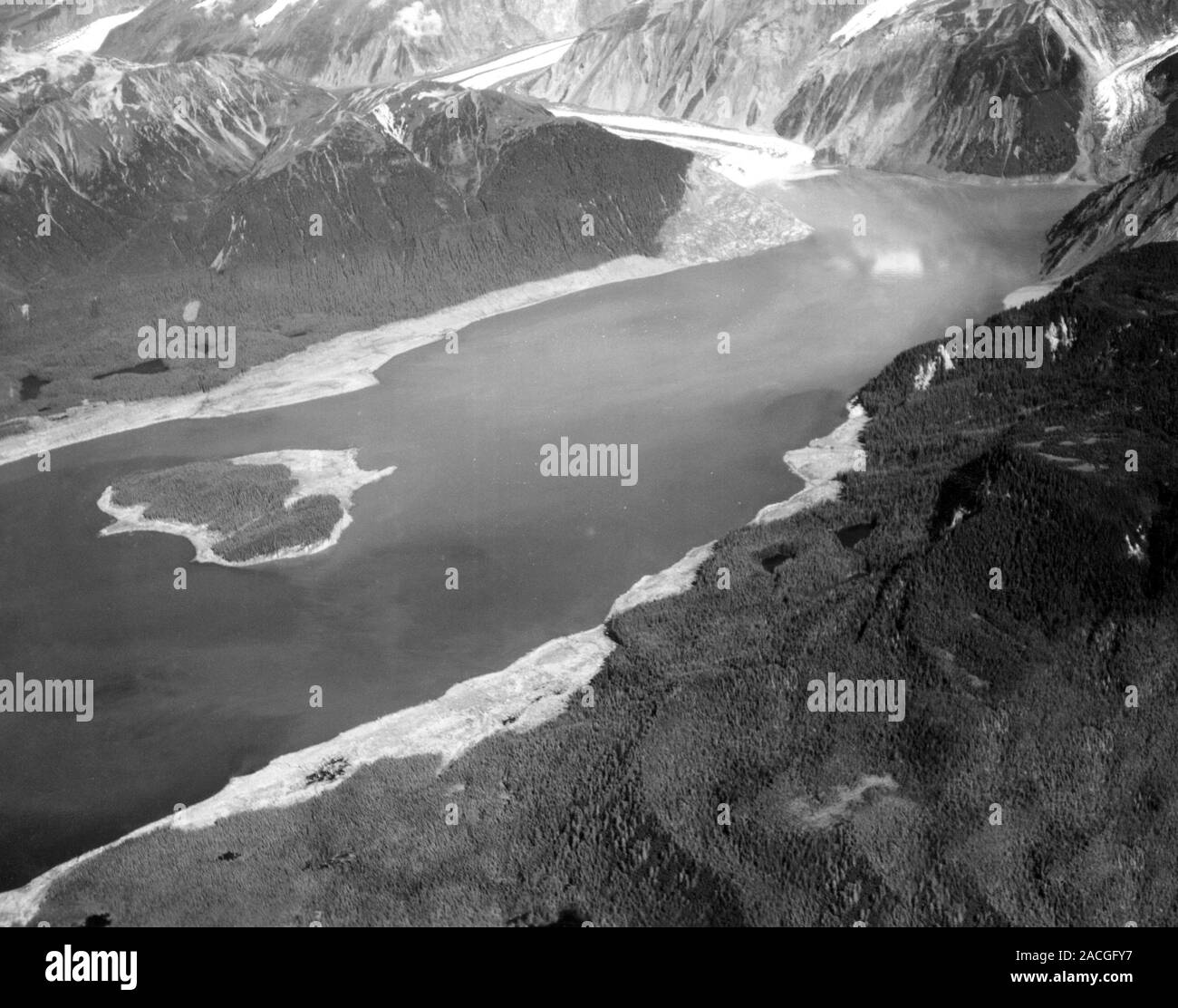 Damage From 1958 Lituya Bay Tsunami Aerial Photograph From August 1958 Damage From 1958 Lituya Bay Tsunami Aerial Photograph From August 1958