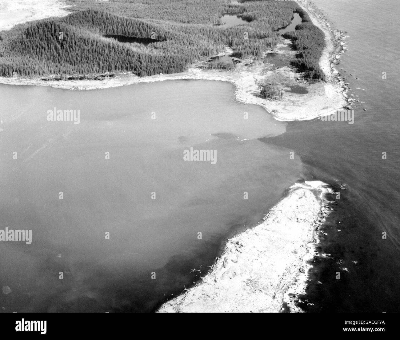 Damage From 1958 Lituya Bay Tsunami Aerial Photograph From August 1958 Damage From 1958 Lituya Bay Tsunami Aerial Photograph From August 1958