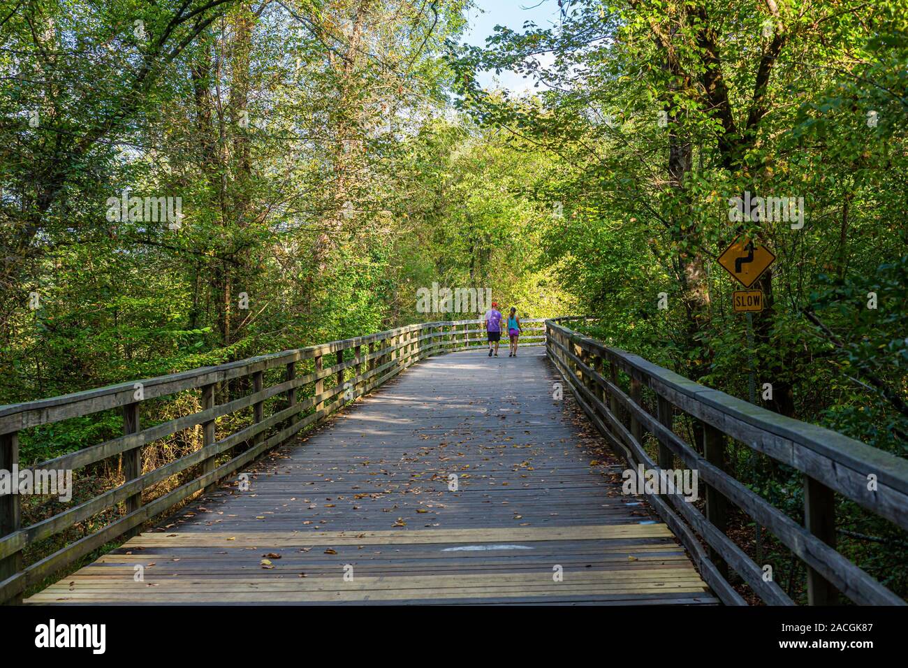 Woodland fun trail hi-res stock photography and images - Alamy