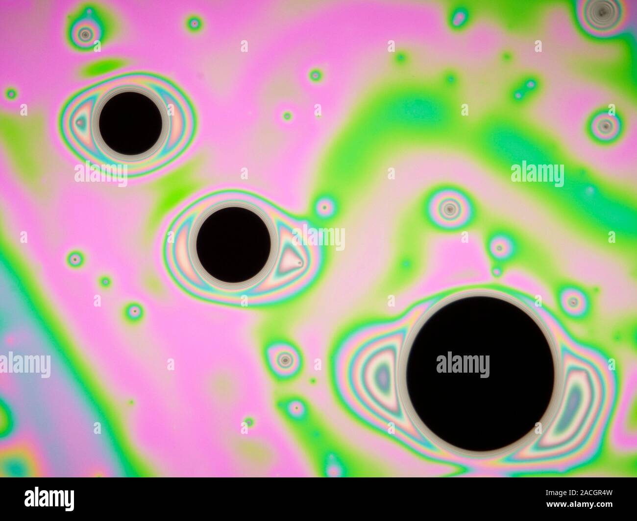Interference pattern. Light micrograph of interference patterns on a ...