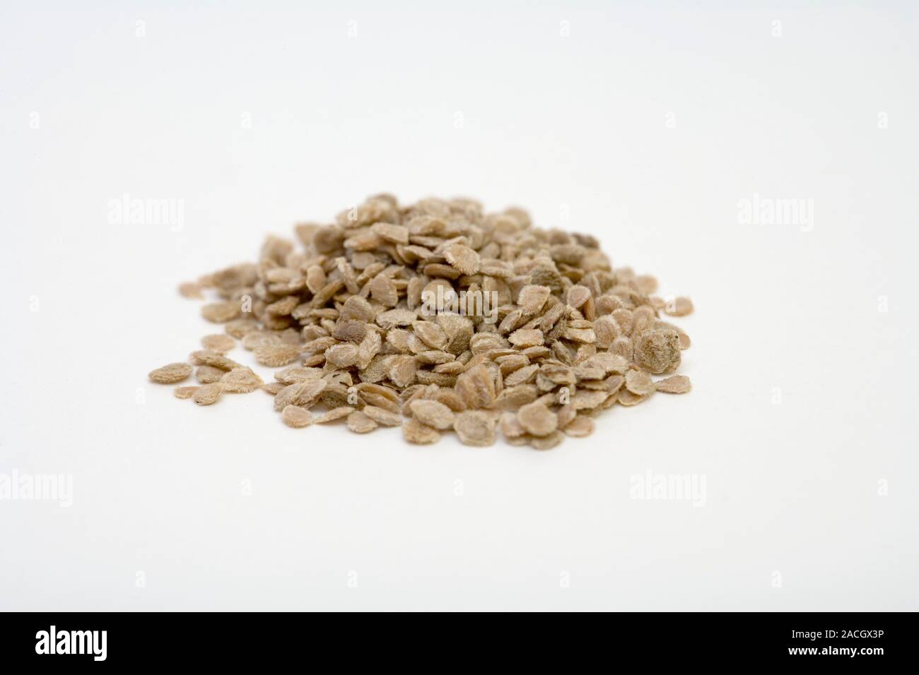 Семена Овощей Без Гмо Купить